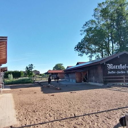 Tiny X Im Marxhof Seebruck Am Chiemsee Зеон-Зебрукк Экстерьер фото