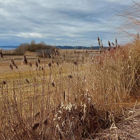 Tiny X Im Marxhof Seebruck Am Chiemsee Зеон-Зебрукк Экстерьер фото
