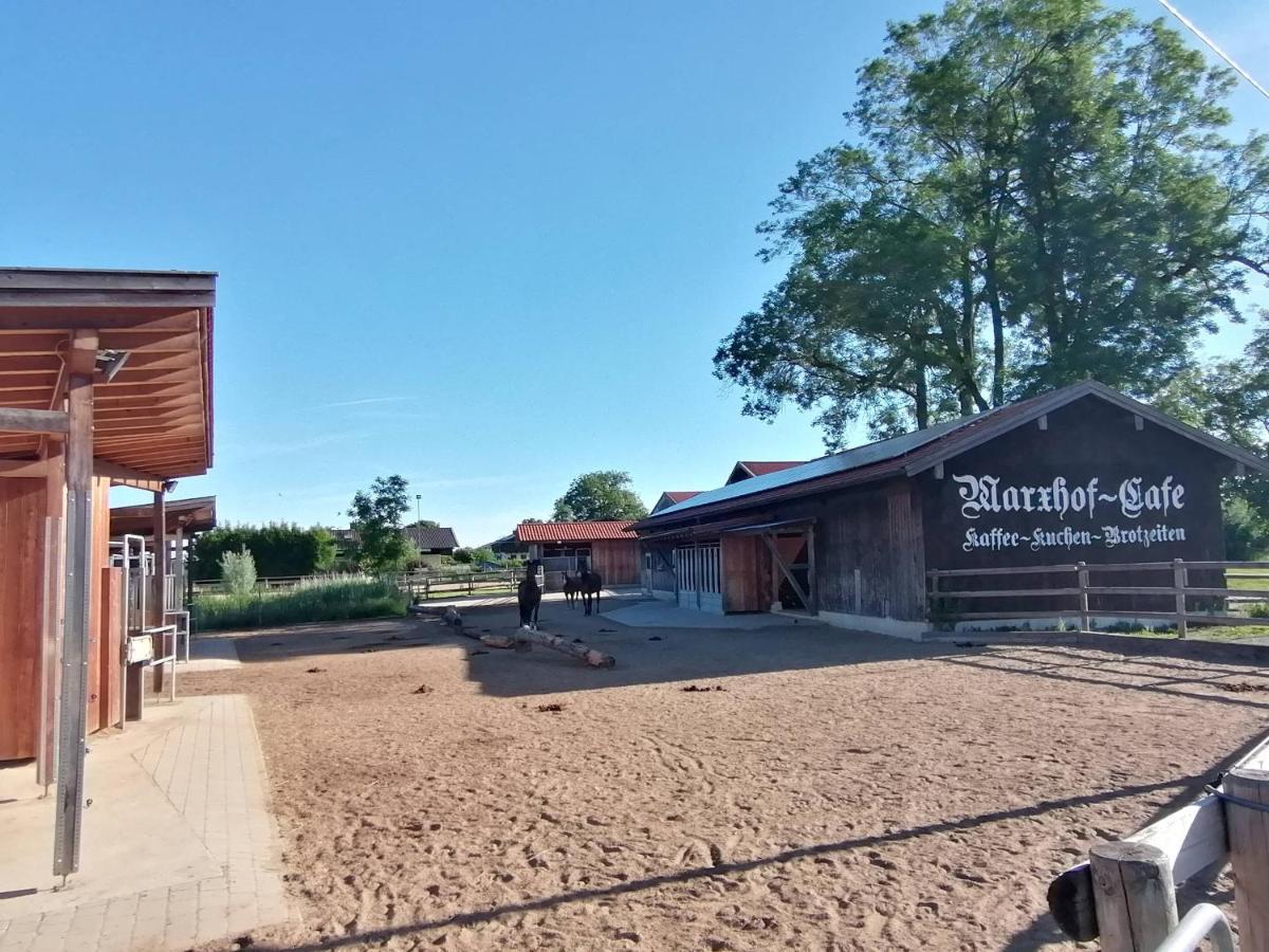 Tiny X Im Marxhof Seebruck Am Chiemsee Зеон-Зебрукк Экстерьер фото