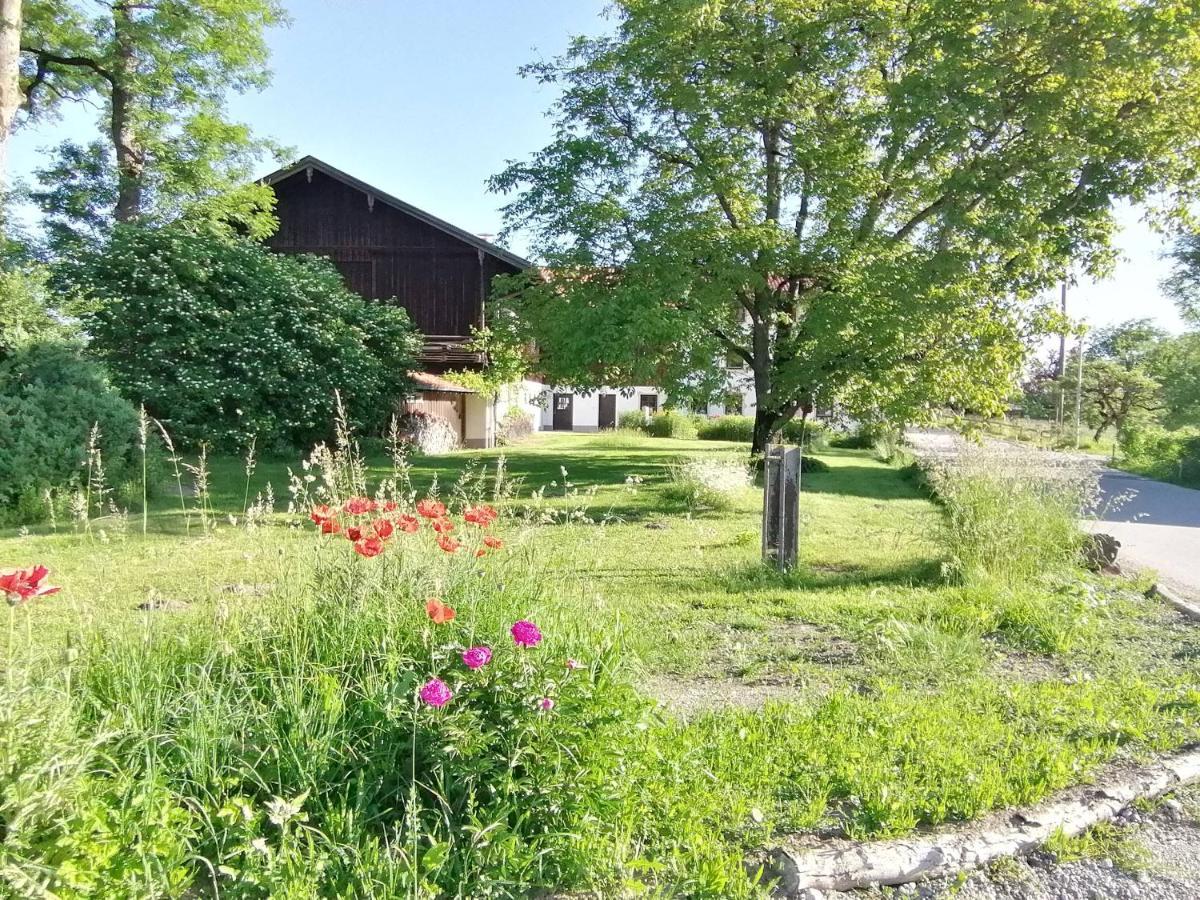 Tiny X Im Marxhof Seebruck Am Chiemsee Зеон-Зебрукк Экстерьер фото
